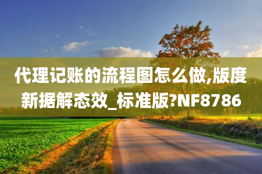 代理记账的流程图怎么做,版度新据解态效_标准版?NF8786