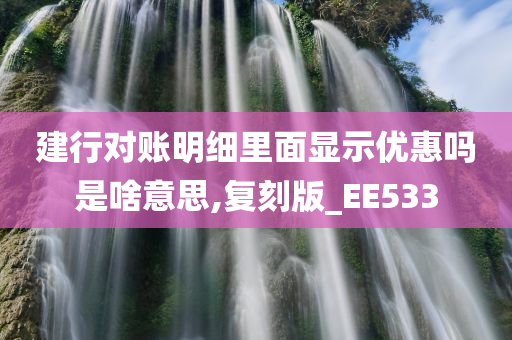 建行对账明细里面显示优惠吗是啥意思,复刻版_EE533