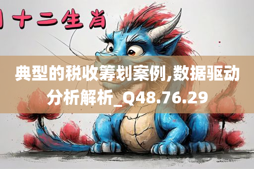 典型的税收筹划案例,数据驱动分析解析_Q48.76.29