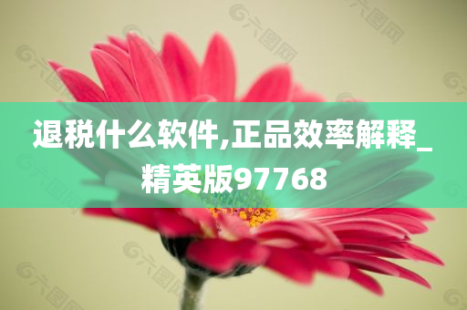 退税什么软件,正品效率解释_精英版97768