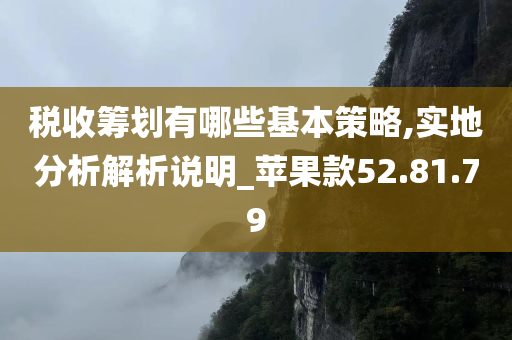 税收筹划有哪些基本策略,实地分析解析说明_苹果款52.81.79