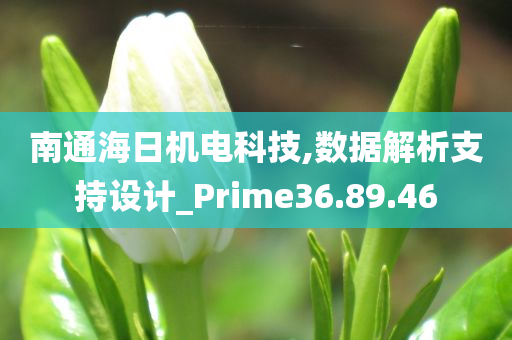 南通海日机电科技,数据解析支持设计_Prime36.89.46