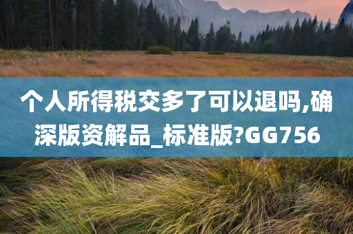 个人所得税交多了可以退吗,确深版资解品_标准版?GG756