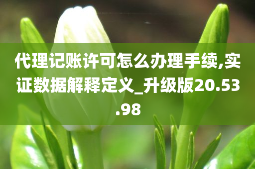 代理记账许可怎么办理手续,实证数据解释定义_升级版20.53.98