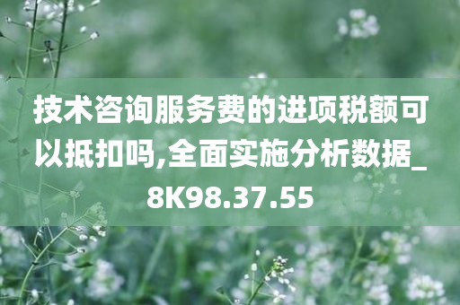 技术咨询服务费的进项税额可以抵扣吗,全面实施分析数据_8K98.37.55