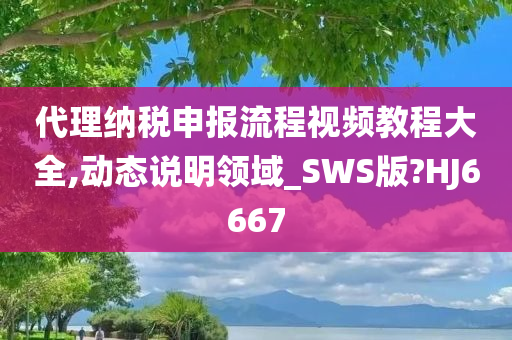 代理纳税申报流程视频教程大全,动态说明领域_SWS版?HJ6667