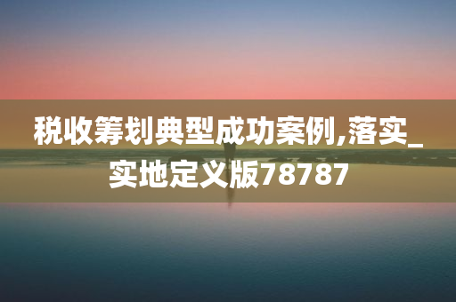 税收筹划典型成功案例,落实_实地定义版78787