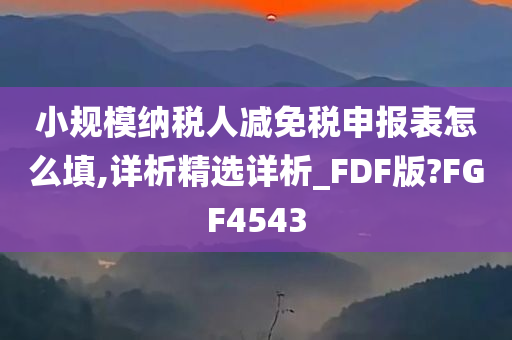 小规模纳税人减免税申报表怎么填,详析精选详析_FDF版?FGF4543