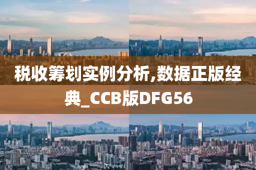 税收筹划实例分析,数据正版经典_CCB版DFG56