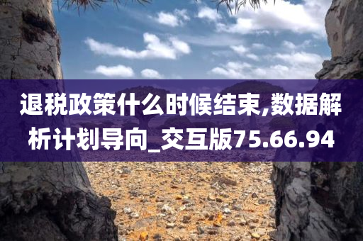 退税政策什么时候结束,数据解析计划导向_交互版75.66.94