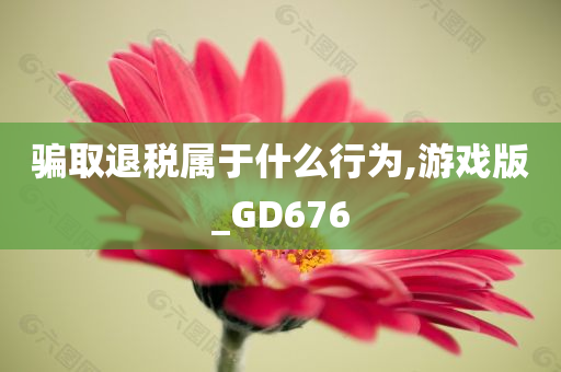 骗取退税属于什么行为,游戏版_GD676