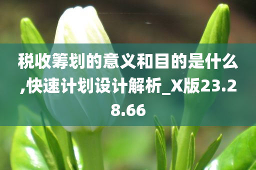 税收筹划的意义和目的是什么,快速计划设计解析_X版23.28.66