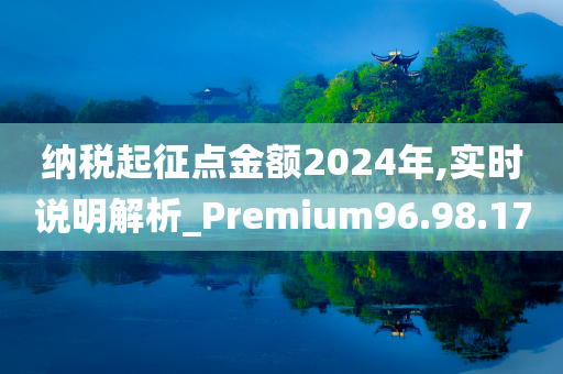 纳税起征点金额2024年,实时说明解析_Premium96.98.17