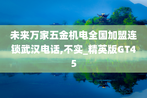 未来万家五金机电全国加盟连锁武汉电话,不实_精英版GT45