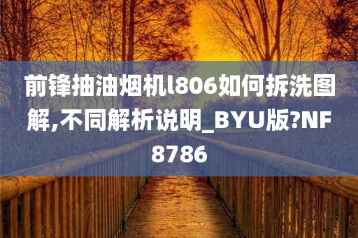 前锋抽油烟机l806如何拆洗图解,不同解析说明_BYU版?NF8786