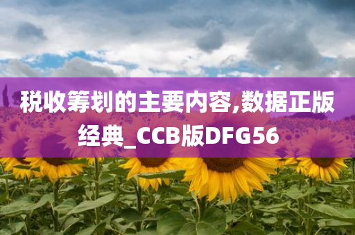 税收筹划的主要内容,数据正版经典_CCB版DFG56