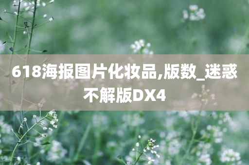 618海报图片化妆品,版数_迷惑不解版DX4