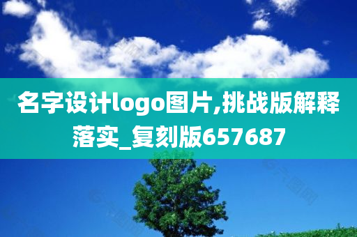 名字设计logo图片,挑战版解释落实_复刻版657687