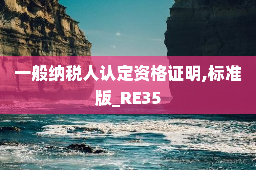 一般纳税人认定资格证明,标准版_RE35