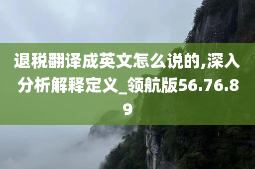 退税翻译成英文怎么说的,深入分析解释定义_领航版56.76.89