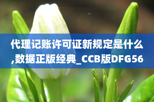 代理记账许可证新规定是什么,数据正版经典_CCB版DFG56