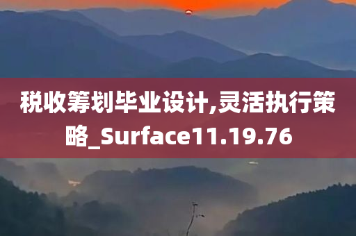 税收筹划毕业设计,灵活执行策略_Surface11.19.76