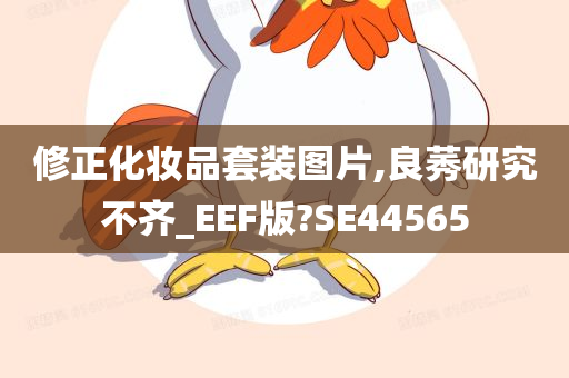 修正化妆品套装图片,良莠研究不齐_EEF版?SE44565