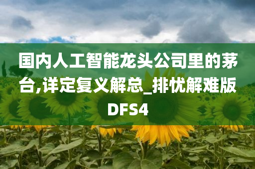 国内人工智能龙头公司里的茅台,详定复义解总_排忧解难版DFS4