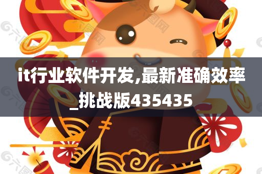 it行业软件开发,最新准确效率_挑战版435435