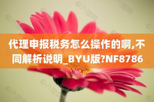 代理申报税务怎么操作的啊,不同解析说明_BYU版?NF8786