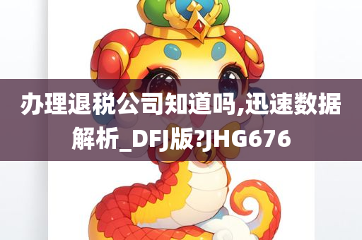 办理退税公司知道吗,迅速数据解析_DFJ版?JHG676