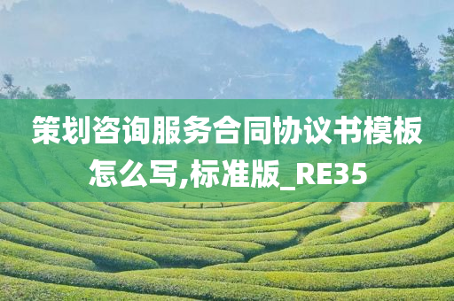 策划咨询服务合同协议书模板怎么写,标准版_RE35