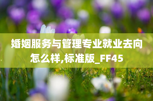 婚姻服务与管理专业就业去向怎么样,标准版_FF45