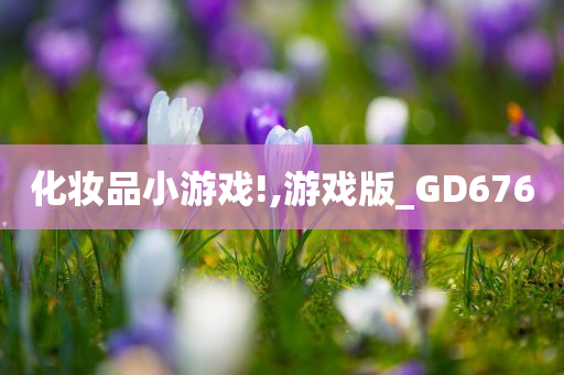 化妆品小游戏!,游戏版_GD676