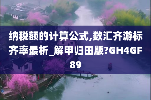 纳税额的计算公式,数汇齐游标齐率最析_解甲归田版?GH4GF89