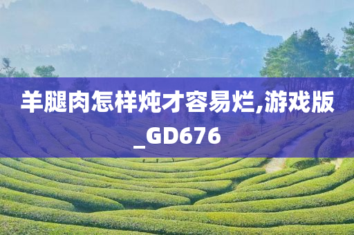 羊腿肉怎样炖才容易烂,游戏版_GD676