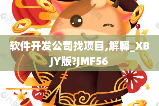 软件开发公司找项目,解释_XBJY版?JMF56