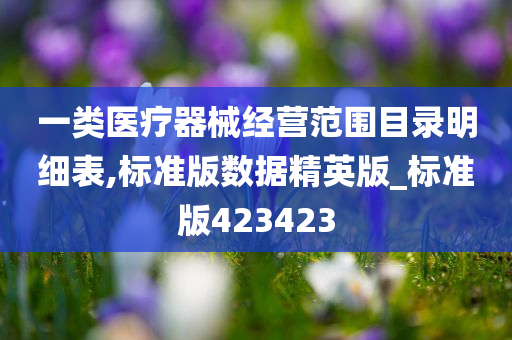 一类医疗器械经营范围目录明细表,标准版数据精英版_标准版423423