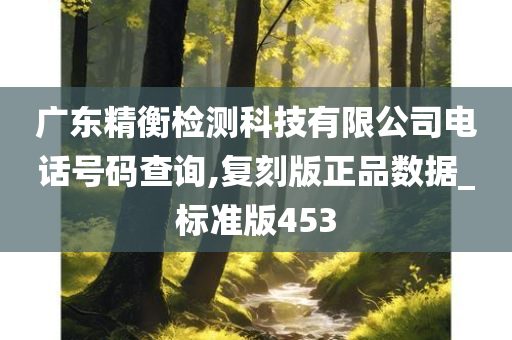 广东精衡检测科技有限公司电话号码查询,复刻版正品数据_标准版453