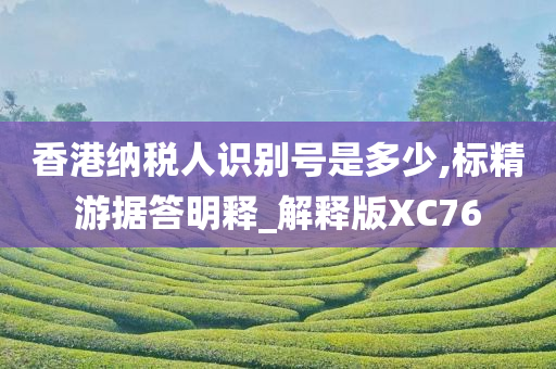 香港纳税人识别号是多少,标精游据答明释_解释版XC76