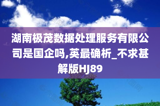 湖南极茂数据处理服务有限公司是国企吗,英最确析_不求甚解版HJ89