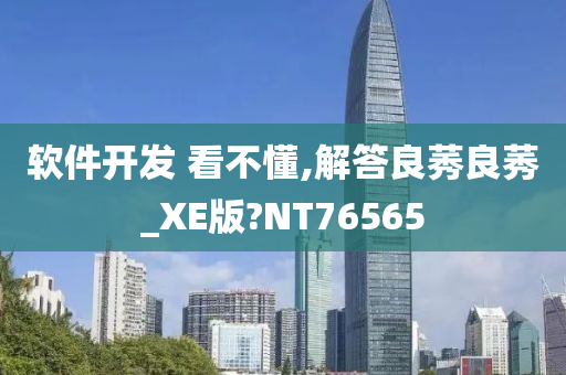 软件开发 看不懂,解答良莠良莠_XE版?NT76565