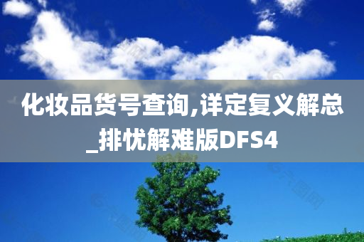 化妆品货号查询,详定复义解总_排忧解难版DFS4