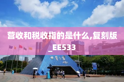 营收和税收指的是什么,复刻版_EE533