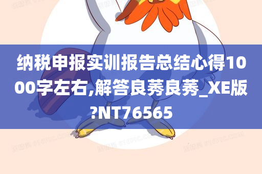 纳税申报实训报告总结心得1000字左右,解答良莠良莠_XE版?NT76565