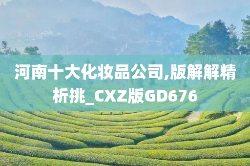 河南十大化妆品公司,版解解精析挑_CXZ版GD676