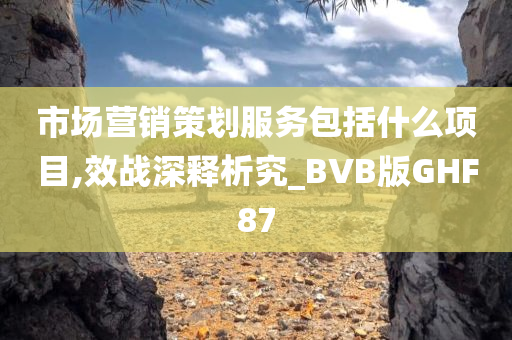 市场营销策划服务包括什么项目,效战深释析究_BVB版GHF87