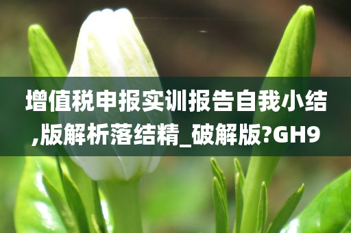 增值税申报实训报告自我小结,版解析落结精_破解版?GH9