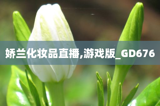 娇兰化妆品直播,游戏版_GD676