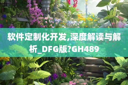 软件定制化开发,深度解读与解析_DFG版?GH489